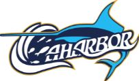 logo1