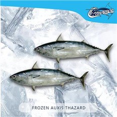 얼어붙은 억시스 타자드