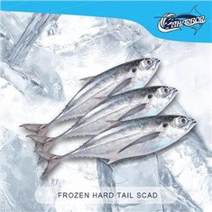 프로즌 하드 테일 스캐드