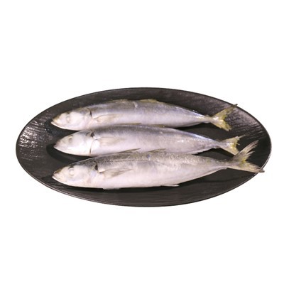 냉동 생선 Layang Scad 중국 공장