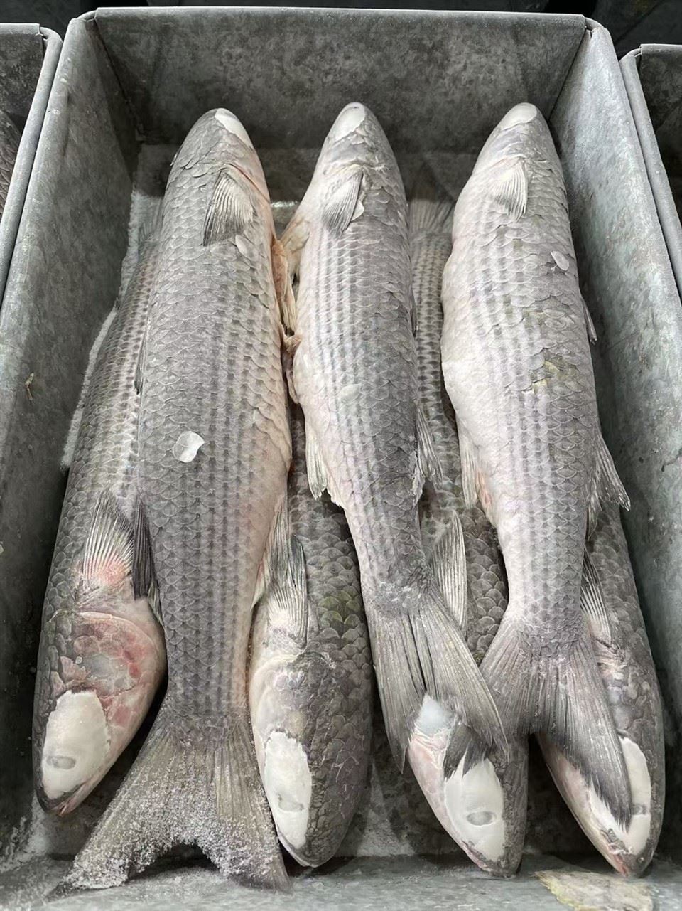 662c086398ed6012884b03d620d9fe8f_