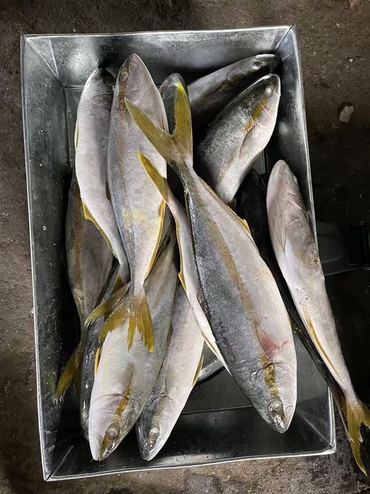 _2025-12-01_142412_413_