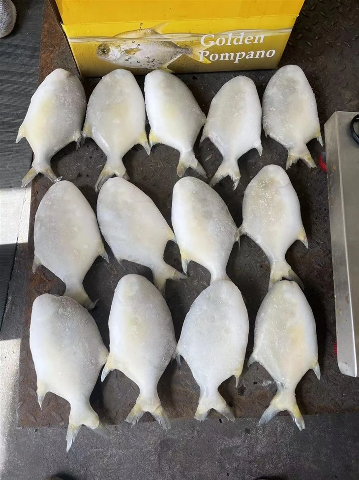 Frozen Fish For Golden Pompano