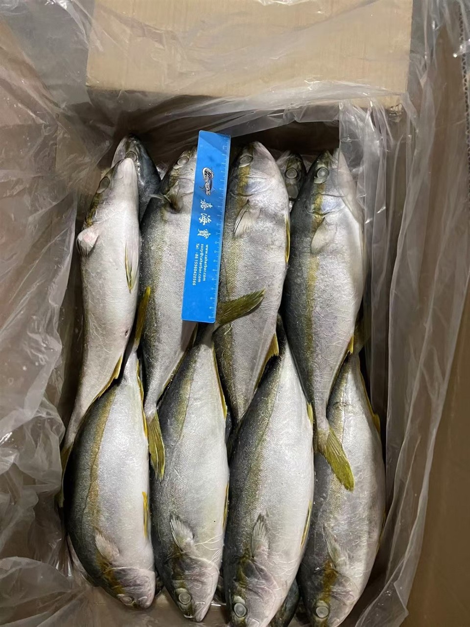 _2025-12-01_142331_876_