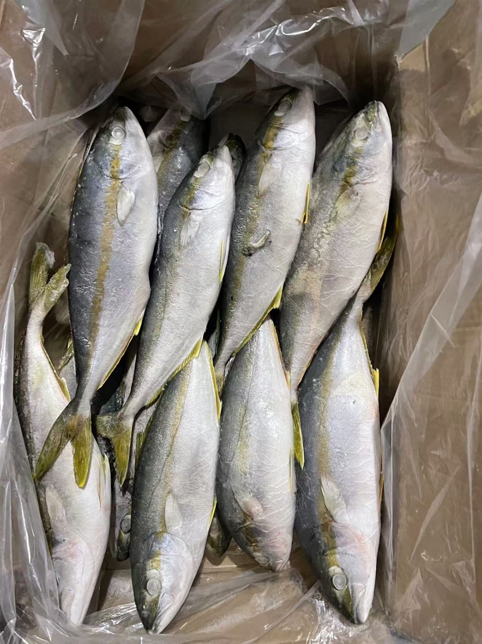 _2025-12-01_142358_708_