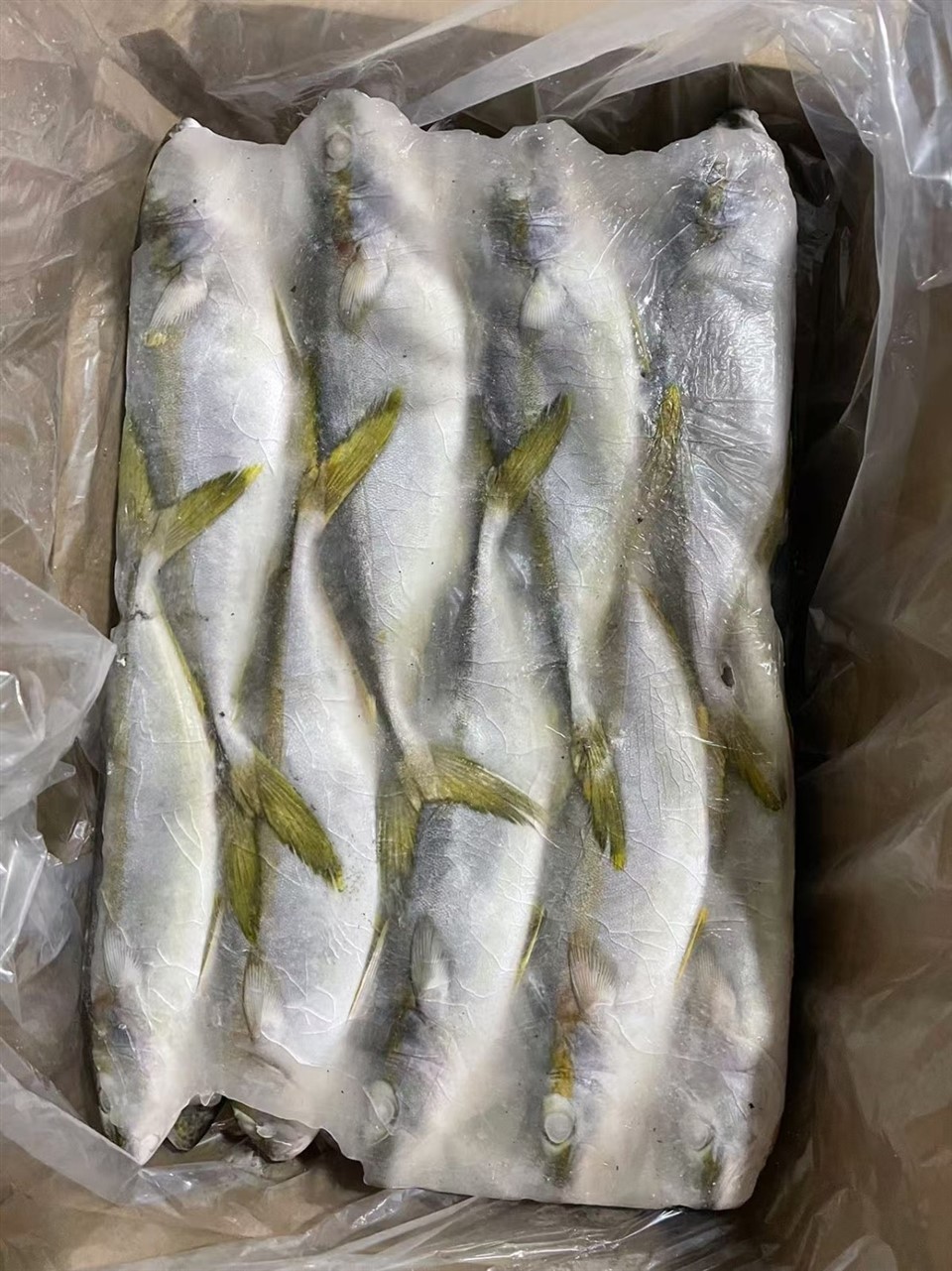 _2025-12-01_142335_998_