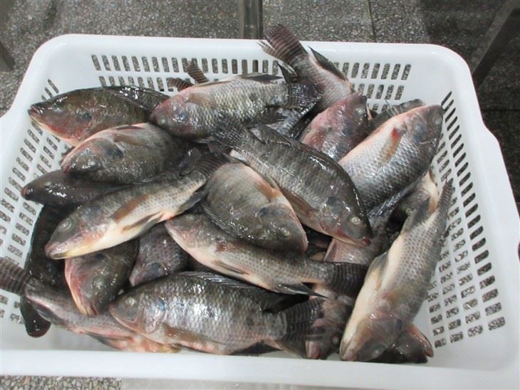 9d1a295d980d1b9f9a6b3ccd6528dc41__