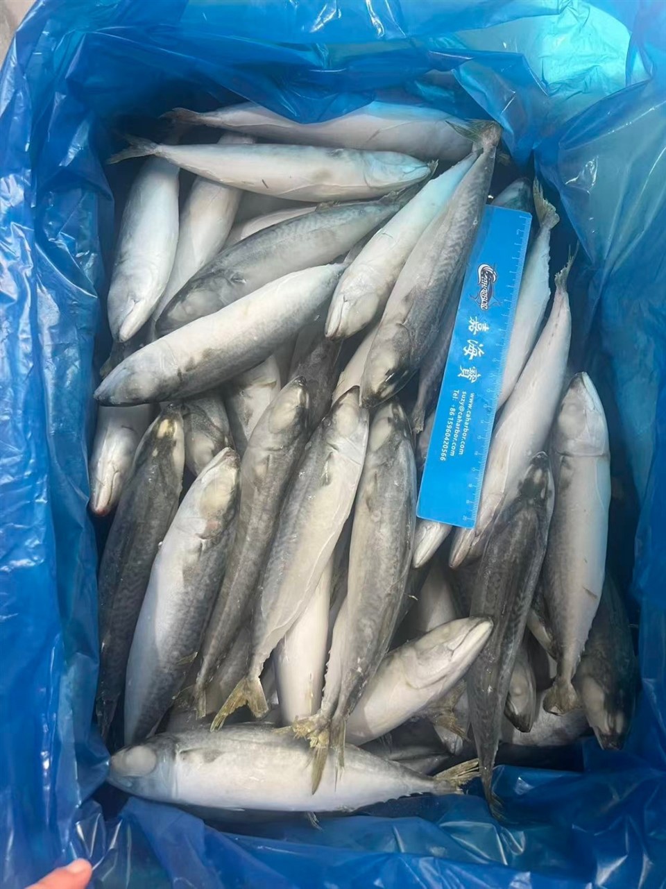 d3bfaa9c168aa42688ee2c05ad58e227_