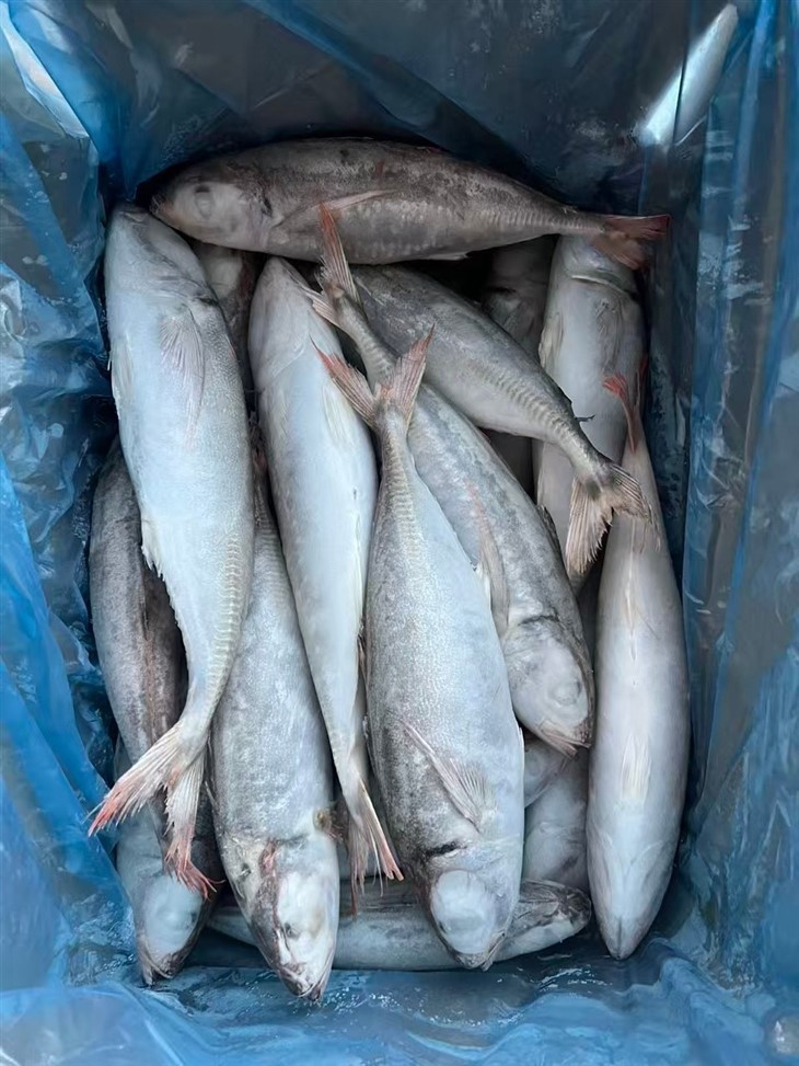 _2025-10-21_104408_116_