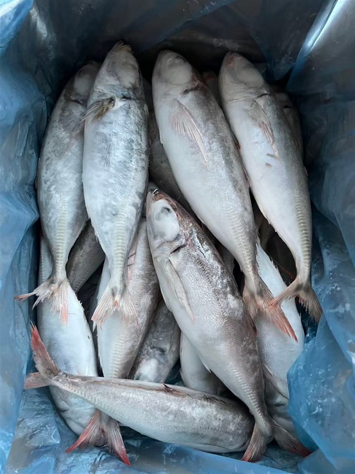 _2025-10-21_104455_712_