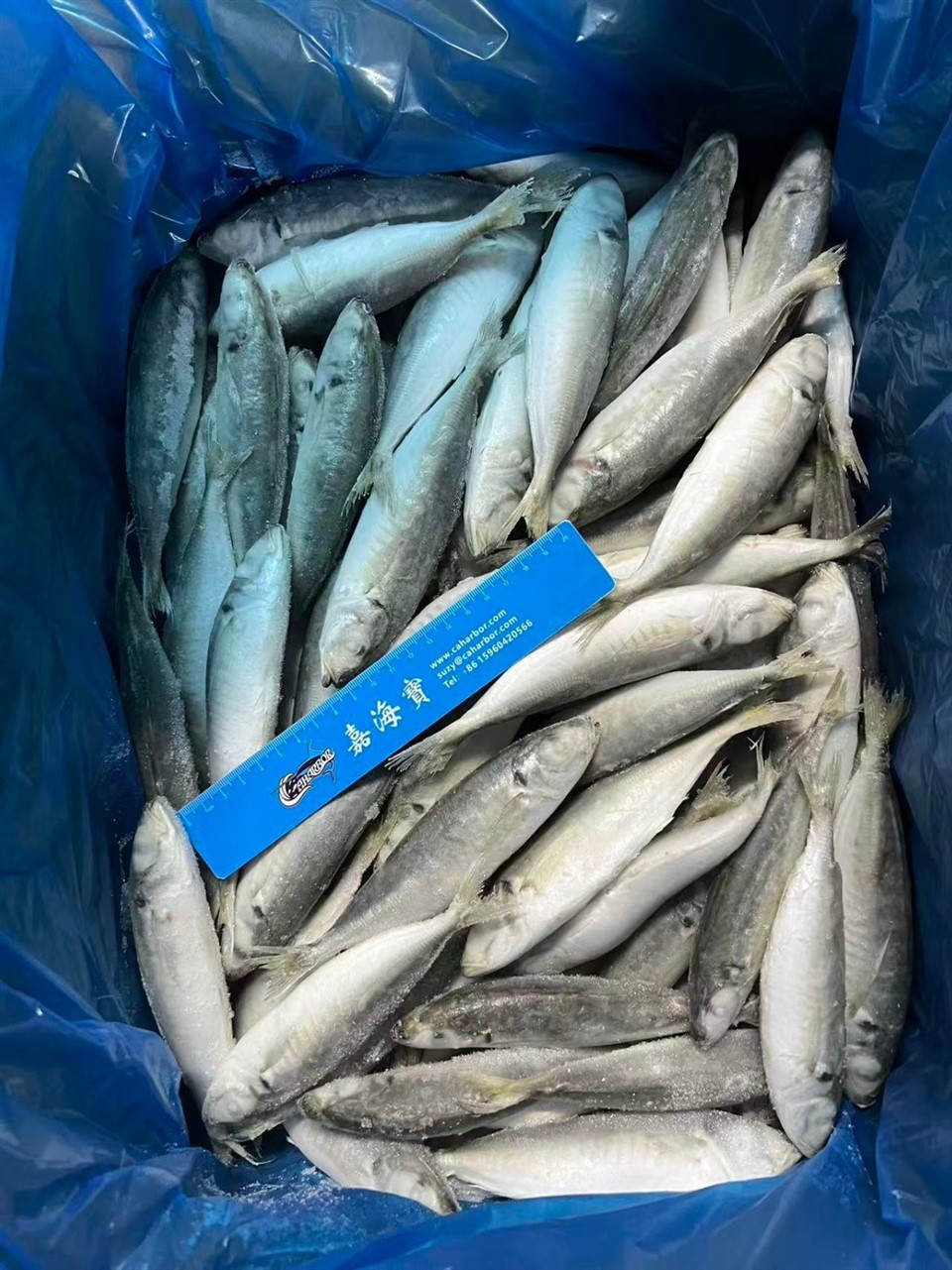 886f2f9918bb13ded8a628b32e6ad05a_