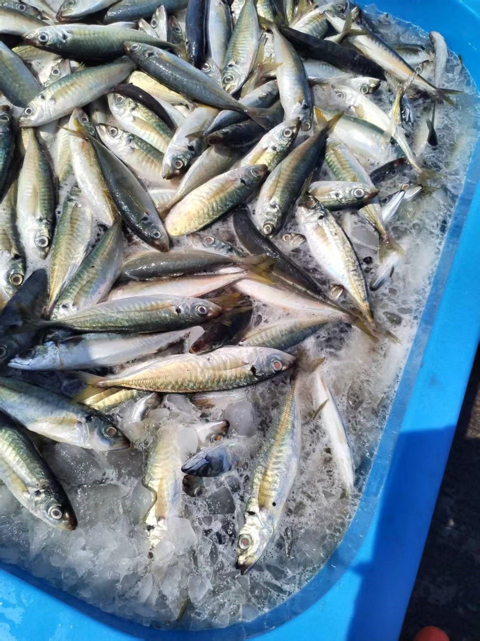 841560d42e2230f656739dd8c9bac82f_