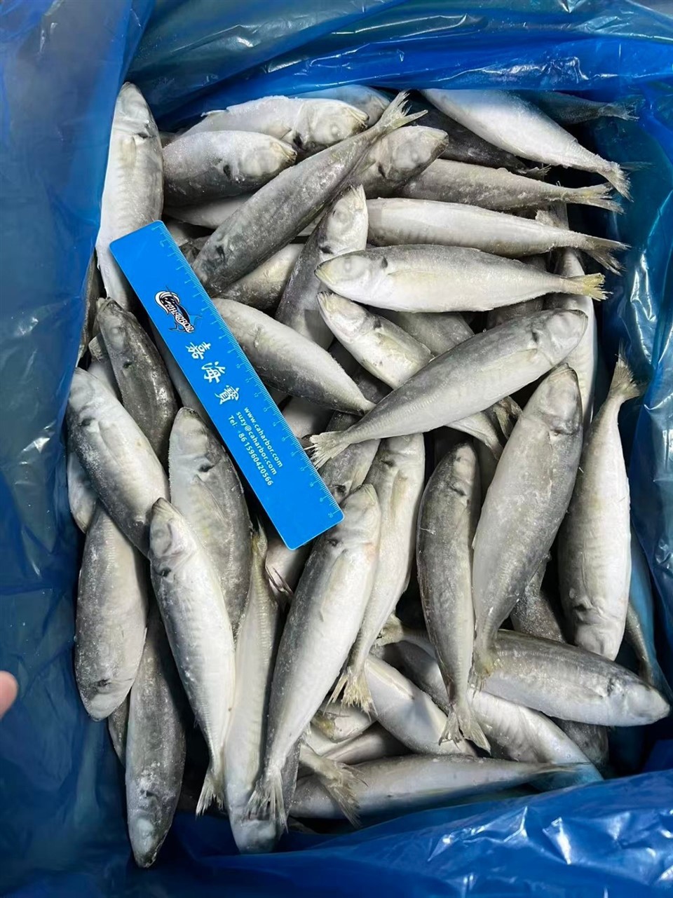 665a5ac728981ba92c09991f7a4c8c3f_