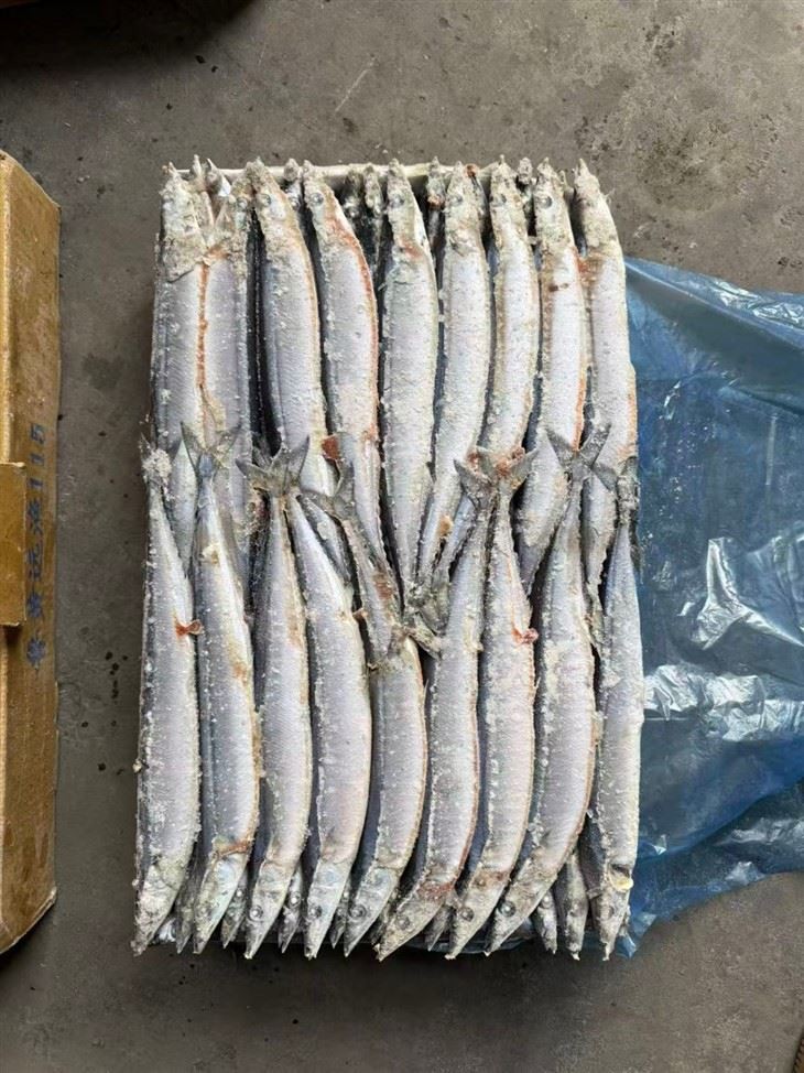 74685245c1500c6b9fec2c582de41a0b_