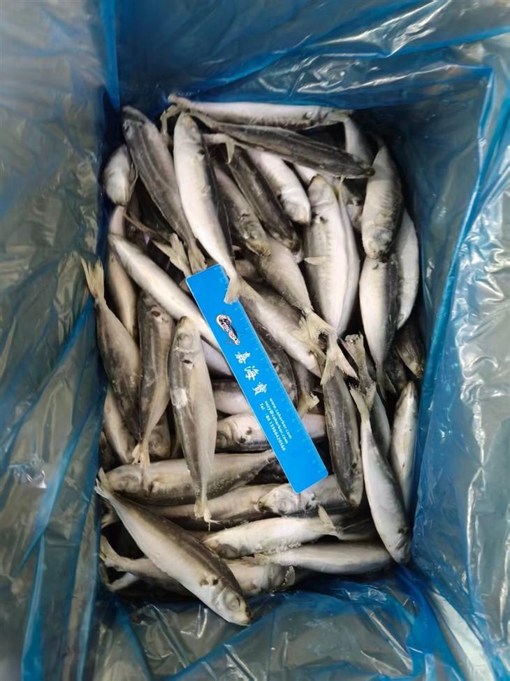 _2026-03-17_114640_914_