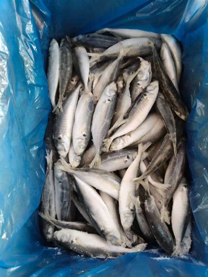 _2026-03-17_114647_924_