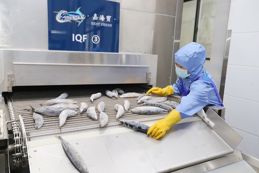 20250401120011 20250401120011