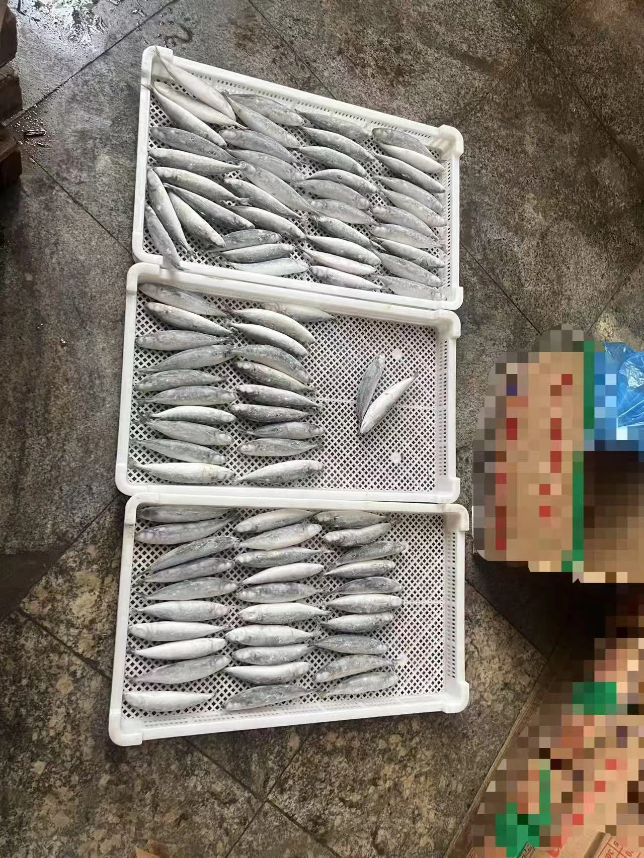 32e44d003a3b57aeb65f598a25807002 32e44d003a3b57aeb65f598a25807002